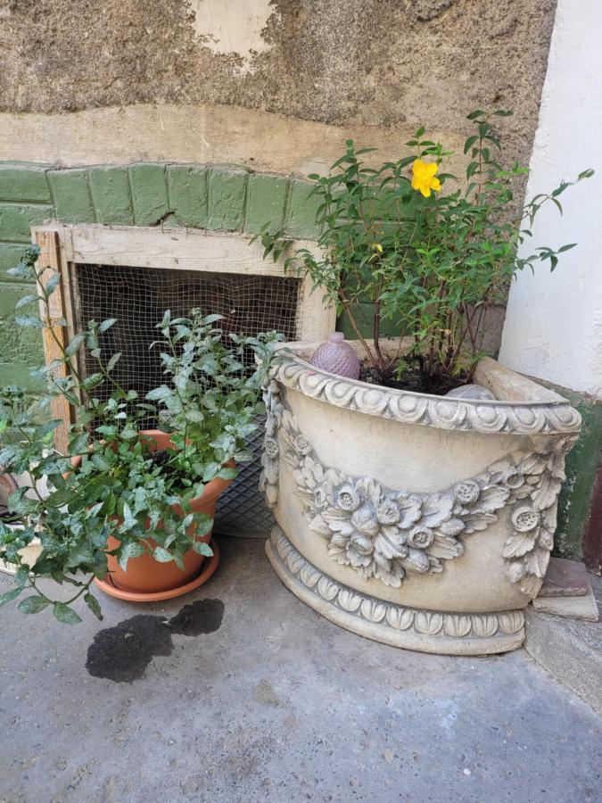 Secret Garden Apartment Zagreb Dış mekan fotoğraf